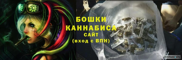 шишки Тихвин